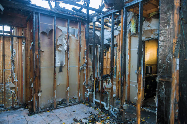 Professional Fire Damage Removal technician working in Mineral Ridge, OH